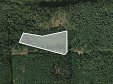 Prodej  lesa 8 733 m²